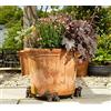 Potty Feet Bichon Frise - Piedini a tema piante - Colore bronzo - Set di 3