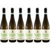 Mastroberardino Vino Falanghina del Sannio DOC bianco - Mastroberardino - Cartone da 6 Pezzi
