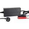 Renogy Caricabatteria LiFePO4 da 20 A, 12 V, AC-DC, portatile, al litio, fosfato, con clip a coccodrillo, per auto, camper, moto e camion