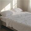 Generico FORTE - Completo Lenzuola Una Piazza e Mezza Cotone 1 Federa Inclusa, Biancheria da Letto Certificata Oeko-Tex Standard, Colorazioni Tinta Unita, Realizzato in Italia (1 Piazza e Mezza, Panna)
