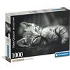 Clementoni - Puzzle 1000 Pezzi per Adulti e Ragazzi, Collection, Tema Kitty, Immagine Gatto, Compact Box con Poster Incluso, Idea Regalo Uomo e Donna, Made in Italy, 70x50 cm, 39950