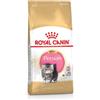 Royal Canin Alimento Gatto Persian Kitten, Pollo - 400 gr