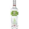 Xenta Absenta Lime E Ginger 70 cl