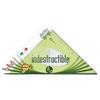 ARDA Elastika, Squadra 45 gradi, 30 cm | Indistruttibile, Verde Trasparente