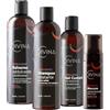 DIVINA BLK Kit Definizione per capelli mossi e ricci Natural&Amazing di DIVINA BLK, 4 prodotti inclusi, trattamento completo