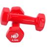 VR VETRINEINRETE Vetrineinrete® Pesi manubri da 0.5 kg Sport 2 pz 500 gr Manubrio Peso Allenamento riabilitazione Fitness Sport Dody duling