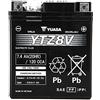 Yuasa Batteria moto Yuasa YTZ8-V - Senza manutenzione - 12 V 7 Ah - Dimensioni: 113 x 70 x 130 mm compatibile con YAMAHA X-MAX 300 2016-