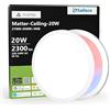 sailsco Plafoniera LED da 20 W, dimmerabile e RGBWW, luce notturna intelligente, compatibile con opaco/HomeKit/Alexa/Google Home, 2300 lm, per camera da letto, corridoio, balcone, cucina (diametro 29