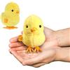 XiXiRan Pulcino Pasquale, 2 PCS Pulcino a Carica, Pulcini Pasquali di Peluche, Giocattoli Pasqua, Giocattoli per Pulcini Saltellanti, Regali di Pasqua