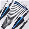 AMEYXGS 12pcs Frecce di Carbonio Misto Tiro con L'Arco 30 Pollici Frecce di Pratica del Bersaglio di Caccia Spine 500 per Arco Ricurvo Arco Composto Arco Lungo (Blu+Nero)