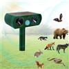 PQETBV Repellente Ultrasuoni per Gatti, Repellente Solare per Gatti, con Rilevatore Di Movimento, Fermare Gatti, Scoiattoli, Cani, Volpi e Altri Animali