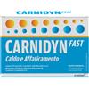 ALFASIGMA SPA CHC Alfasigma Carnidyn Fast Integratore per Caldo e Affaticamento - 20 buste