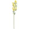 Vesta FUNNY FLOWERS, fiore in plexiglass Mimosa grande