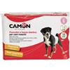 Pannolini a fascia cani maschi misura 1 12 pezzi