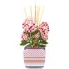 Vesta AURORA PROFUMATORE PER AMBIENTI IN PLEXIGLASS DECORATO ORTENSIA COLORE ROSA CON 100 ML INCLUSA FRAGRANZA ANIMA CHIARA FIRENZE