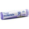 Boiron - Thuya Occidentalis 30CH Medicinale Omeopatico Pelle Confezione 1 Gr