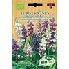 Germisem Biologico Lupinus Nanus Semi di Lupino 1 g