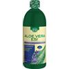 Aloe Vera Succo 1L Mirtillo Concentrato Purifica L'Organismo