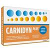 Alfasigma - Carnidyn Plus Integratore Stanchezza Gusto Passion Fruit Confezione 20 Bustine
