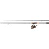 Mitchell Colors MX - Canna da pesca con mulinello e mulinello, set per pesca a spinning, pesce persico, trota, luccio, luccio