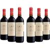 Leonardo Da Vinci Rosso Toscana IGT, Vino Rosso dal Gusto Morbido e Profumo Intenso di Frutta Nera, 13% Vol, Confezione con 6 Bottiglie da 750 ml