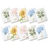 Pigna, Maxi Quaderni Flowers Special, f.to A4 21x29,7 cm, interno 0Q,quadretto 5 mm. con margine, 80 gr, Carta Riciclata, soggetti assortiti, confezione da 10