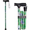 iCatchy Bastone flessibile da camminare, facile da regolabile in altezza, pieghevole, estensibile per camminare, aiuto alla mobilità pieghevole, per unisex, approvato UKCA (fiore verde)