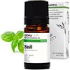 Aroma Labs - Basilico BIO - Olio Essenziale Chemiotipizato e Certificato AB - 5 mL