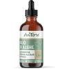 AniForte Olio di Alghe per Cani e Gatti 50 ml - Olio di Omega 3, alternativa all'olio di salmone, concentrato ricavato dalle alghe per sostenere le articolazioni, il metabolismo, il pelo & pelle