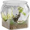 Generico Tank di pesce trasparente, vasca di pesce rotonda multifunzione, vasca per Micropaesaggio, contenitore di pesce, vasca per pesci da tavolo, ciotola di terrari resistenti alla goccia per pesce rosso
