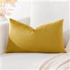 Artscope Federe Cuscini in Velluto Minimalista Copricuscino Colorato per la Decorazione Domestica Soggiorno Camera da Letto Divano 40x60cm, Oro