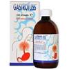 D.M.G. ITALIA Srl GASTROTUSS SCIROPPO 500ML