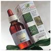 SANGALLI Srl Melissa tintura madre 100 ml