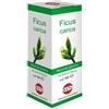 KOS Srl FICUS CARICA MG 100ML GTT
