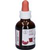 ERBENOBILI Srl Fitomater ribes nero 50 ml
