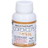 A.V.D. REFORM Srl Micotherapy Cordyceps Integratore Alimentare
