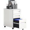 Vinsetto Schedario Portadocumenti in Acciaio a 5 Ruote con 2 Cassetti e Vassoio Portapenne, 30x43.5x60 cm, Bianco