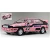SunStar AUDI QUATTRO N.23 FRENCH RALLYCROSS 1987 CATHY CALY 1:18