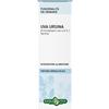 ERBA VITA GROUP SPA Uva Ursina Foglie Soluzione Idroalcolica 50ml Erbavita