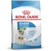 Royal Canin Mini Starter mother and babydog - Sacchetto da 1kg.