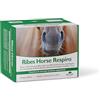 NBF Lanes Ribes Horse RESPIRO 10 Buste da 25 ml cad