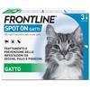 FRONTLINE-SPOTON GATTI 3PIP