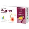 Nutridef gola & voce arancia 20 pastiglie