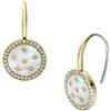 Fossil Women's Stainless Steel with Hook closure Earrings