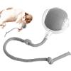 Generic Palla giocattolo per gatti interattiva, giocattolo elettrico automatico per gatti da interni, giocattolo intelligente per gatti, giocattolo intelligente per gatti, con sensore di movimento, palla