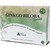 GINKO BILOBA BENOIT 60CPR