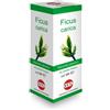 FICUS CARICA MG 100ML