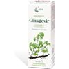 GINKGOVIR MACERATO CAIRA GOCCE