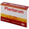 PLANTARUM 10MLD 24CPS