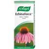 ECHINAFORCE GOCCE 50ML VOGEL